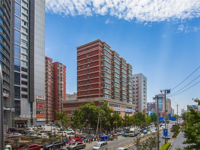 成人全脑开发培养